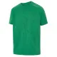 Men’s Short Sleeve T-Shirt Joluvi Silver Green