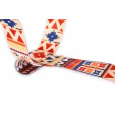 Arnés para Perro Matteo Matteo Talla única Multicolor