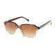 Unisex Sunglasses Hally & Son HS741S04