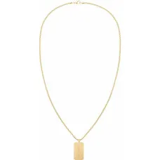 Ladies' Necklace Tommy Hilfiger 2790484 60 cm