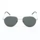 Men's Sunglasses Belstaff ROADMASTER-GRIS-DORADO-W Ø 55 mm