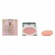 Compact Make Up Clinique AEP01448 (7,6 g)