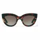 Ladies'Sunglasses Hyde Hawkers Dark brown