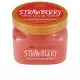 Body Exfoliator Tree Hut   Strawberry Sugar 510 g