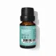 Aceite Corporal Daffoil Aceite Esencial Menta 10 ml