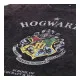 Camiseta de Manga Larga Infantil Harry Potter Gris oscuro