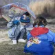 Poncho Impermeable con Capucha The Paw Patrol Azul