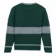 Jersey Unisex Harry Potter Verde