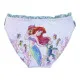 Bañador Niña Disney Princess Multicolor