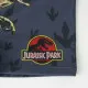 Bañador Boxer Para Niños Jurassic Park Gris oscuro