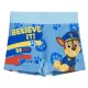 Boys Swim Shorts The Paw Patrol Blue