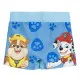 Boys Swim Shorts The Paw Patrol Blue