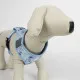 Arnés para Perro Stitch Azul claro XS/S