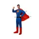 Costume for Adults Comic Hero