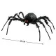 Halloween Decorations 43 x 36 cm Spider