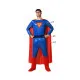 Disfraz para Adultos Azul Héroe de Cómic