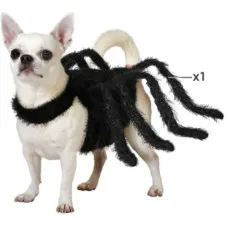 Disfraz para Perro Araña Talla S