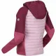 Chaqueta Deportiva para Niños Regatta HYBRID VI RNK134 T5C Rosa