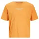 Men’s Short Sleeve T-Shirt Jack & Jones JPRBLUARCHIE SS TEE 12217167 Orange