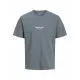 Men’s Short Sleeve T-Shirt Jack & Jones JORVESTERBRO TEE SS 12240121 Grey