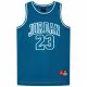 Camiseta de baloncesto Nike JORDAN 23 JERSEY 95A773 U1R