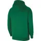 Sudadera con Capucha Hombre  FLC PARK20 PO Nike CW6894 302 Verde