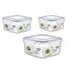 Set of lunch boxes Dem Hermetic 3 Pieces 500 ml 18 x 18 x 10 cm (6 Units)