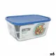 Lunch box Inde Frigo Rectangular 2,6 L (6 Units)
