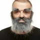 False beard My Other Me Grey