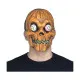 Mask My Other Me Pumpkin