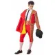Costume for Adults Male Bullfighter M