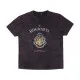 Camiseta de Manga Corta Hombre Harry Potter L