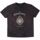 Camiseta de Manga Corta Hombre Harry Potter XL