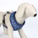 Dog Harness Stitch