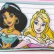 Double Carry-all Disney Princess 22,5 x 8 x 10 cm