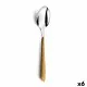 Spoon Amefa Eclat 21 cm Metal Bicoloured (Pack 6x)