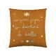Cushion cover Haciendo el Indio Ice Age (40 x 40 cm)