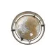Globo Terraqueo DKD Home Decor Dorado Bronce (23 x 22 x 43 cm)