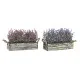 Decorative Plant DKD Home Decor 30 x 12 x 21 cm Wood Lilac Polyethylene Fuchsia (2 Units)