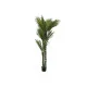 Decorative Plant Home ESPRIT Polyethylene Cement Palm tree 100 x 100 x 235 cm