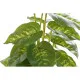 Decorative Plant DKD Home Decor PVC polypropylene 20 x 20 x 30 cm