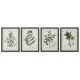 Painting Home ESPRIT Green Beige Shabby Chic Botanical plants 30 x 2,5 x 40 cm (4 Units)