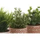 Decorative Plant Home ESPRIT Polyethylene Cement 12 x 12 x 17 cm (3 Units)