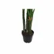 Decorative Plant DKD Home Decor Polypropylene (PP) EVA (90 x 90 x 200 cm)