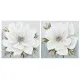 Cuadro Home ESPRIT Blanco Dorado Lienzo Madera MDF Flor Romántico 60 x 3 x 60 cm (2 Unidades)