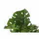 Decorative Plant DKD Home Decor Monstera Green PP PE (48 x 42 x 51 cm)