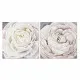 Cuadro DKD Home Decor Flor (80 x 3 x 80 cm) (2 Unidades)