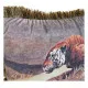 Cushion DKD Home Decor 8424001718016 Animal Polyester Aluminium Colonial (2 Units)