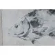 Painting Home ESPRIT Grey Fish (4 Units)