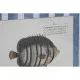 Painting Home ESPRIT Blue Fish 40 X 2,5 X 55 cm (4 Units)